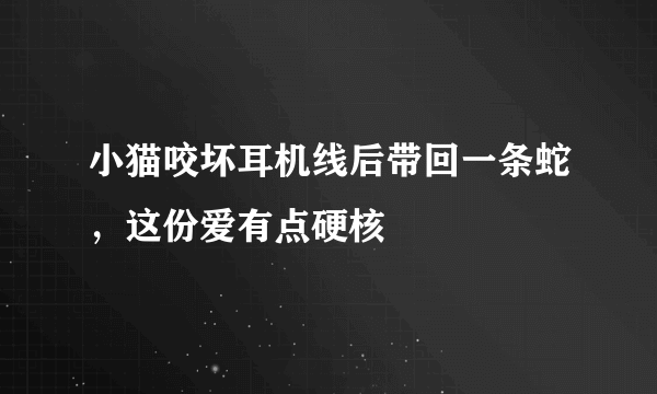 小猫咬坏耳机线后带回一条蛇，这份爱有点硬核