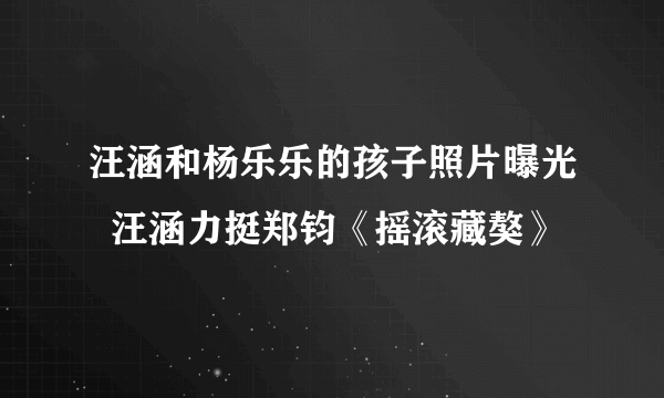 汪涵和杨乐乐的孩子照片曝光  汪涵力挺郑钧《摇滚藏獒》