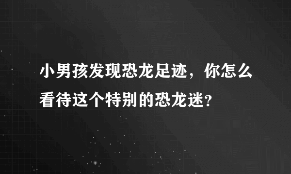 小男孩发现恐龙足迹，你怎么看待这个特别的恐龙迷？