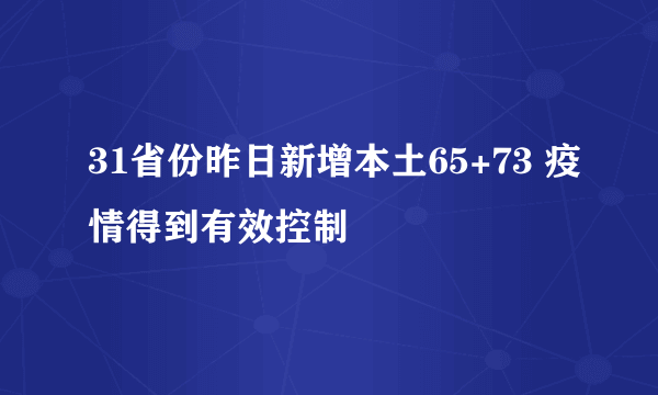 31省份昨日新增本土65+73 疫情得到有效控制