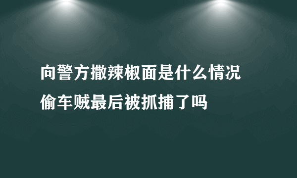 向警方撒辣椒面是什么情况 偷车贼最后被抓捕了吗