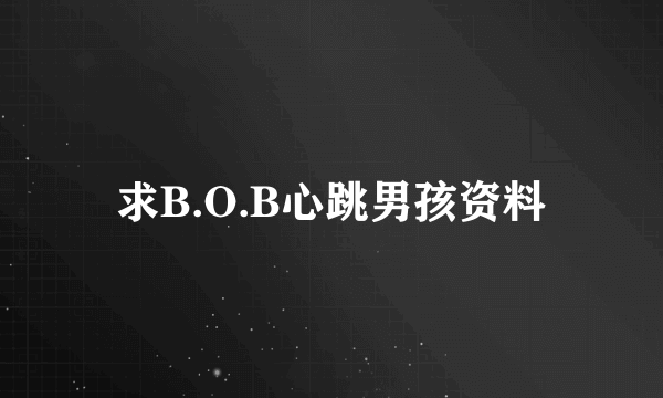 求B.O.B心跳男孩资料