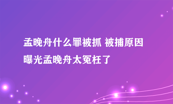 孟晚舟什么罪被抓 被捕原因曝光孟晚舟太冤枉了