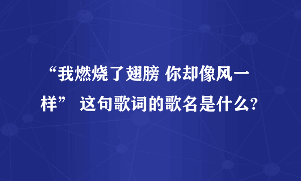 “我燃烧了翅膀 你却像风一样” 这句歌词的歌名是什么?