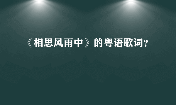 《相思风雨中》的粤语歌词？