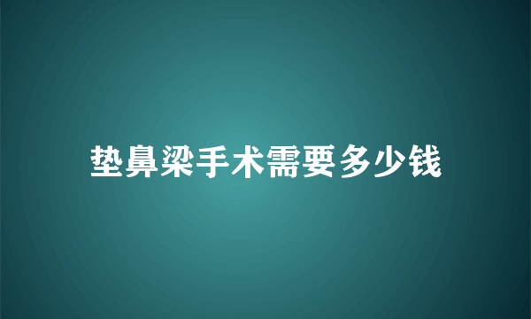 垫鼻梁手术需要多少钱