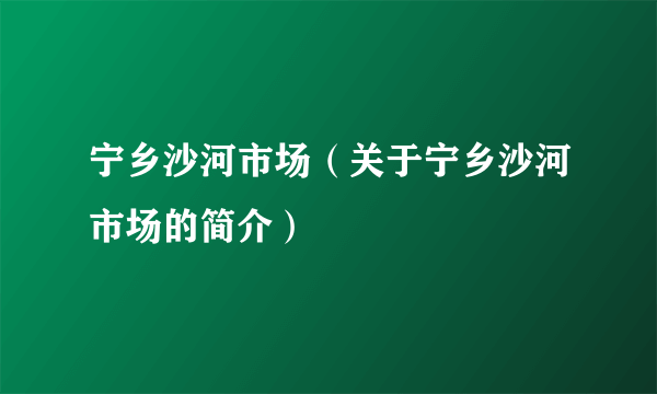 宁乡沙河市场（关于宁乡沙河市场的简介）