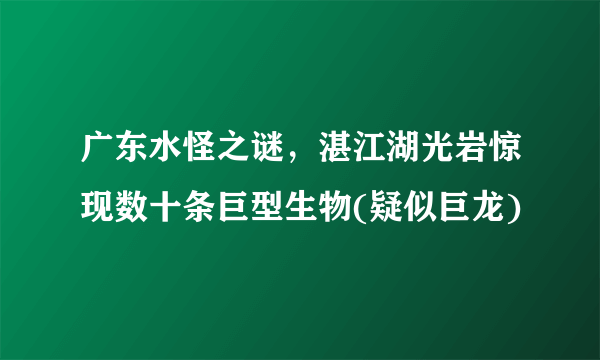 广东水怪之谜，湛江湖光岩惊现数十条巨型生物(疑似巨龙)