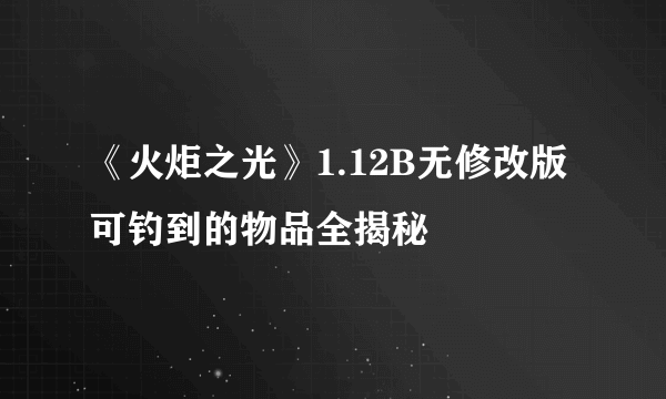 《火炬之光》1.12B无修改版可钓到的物品全揭秘