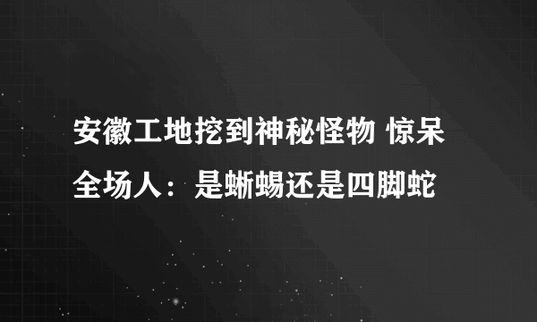 安徽工地挖到神秘怪物 惊呆全场人：是蜥蜴还是四脚蛇