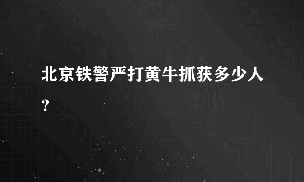 北京铁警严打黄牛抓获多少人？