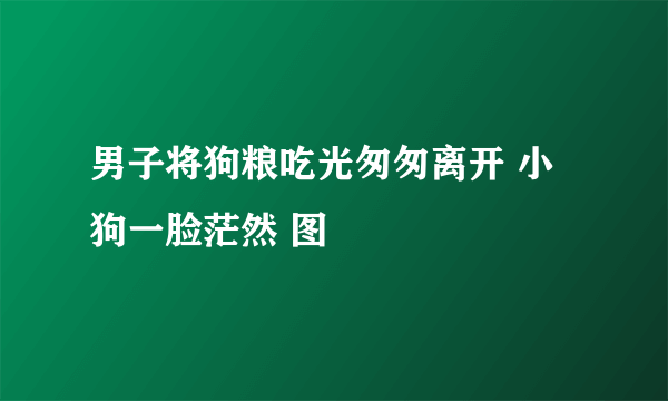 男子将狗粮吃光匆匆离开 小狗一脸茫然 图