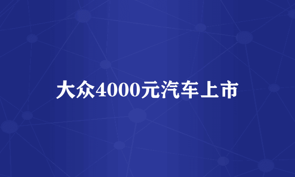 大众4000元汽车上市