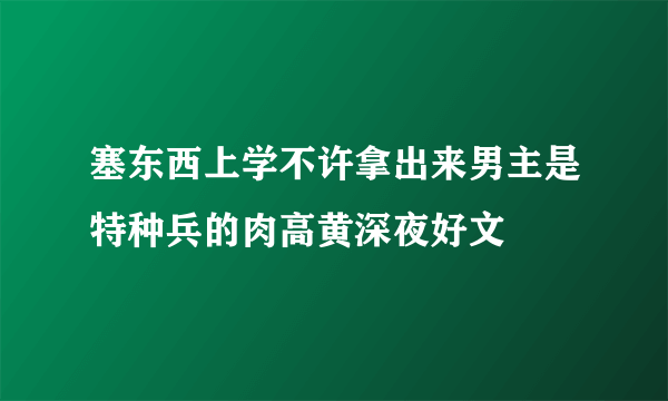 塞东西上学不许拿出来男主是特种兵的肉高黄深夜好文