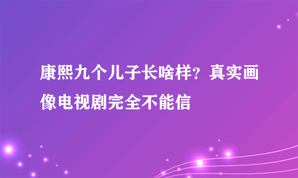 康熙九个儿子长啥样？真实画像电视剧完全不能信