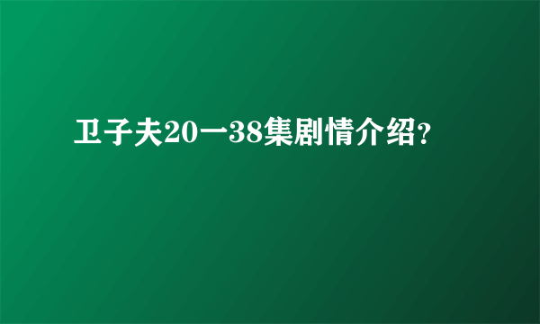 卫子夫20一38集剧情介绍？