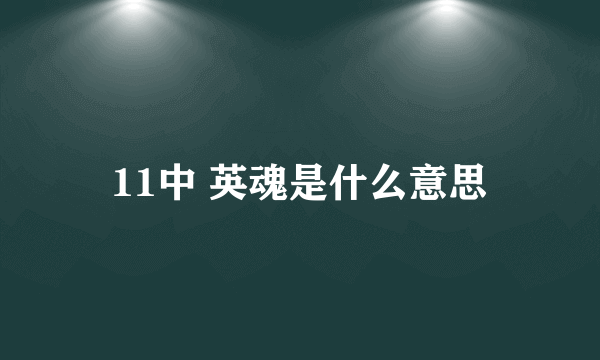 11中 英魂是什么意思