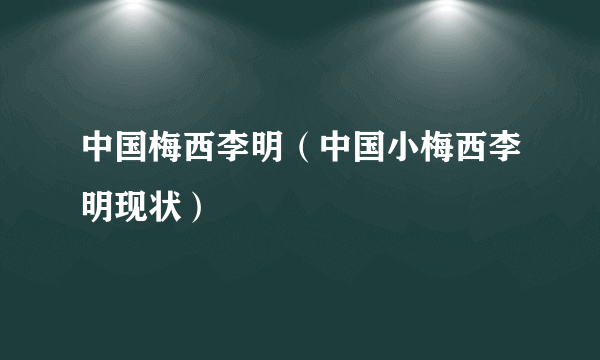 中国梅西李明（中国小梅西李明现状）