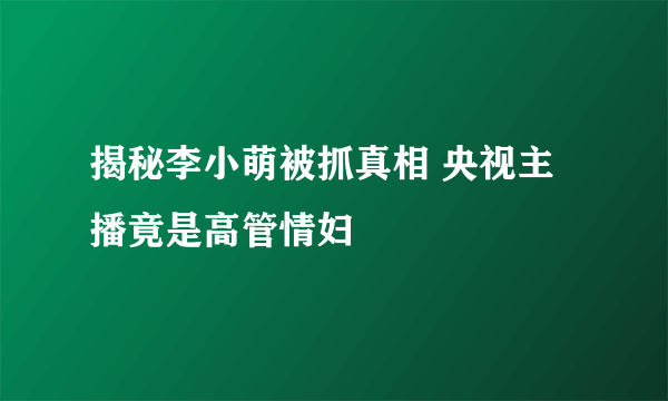 揭秘李小萌被抓真相 央视主播竟是高管情妇