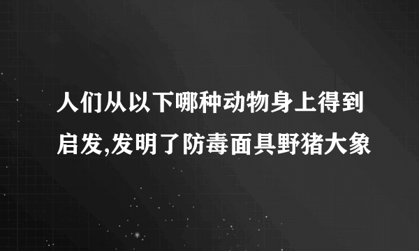 人们从以下哪种动物身上得到启发,发明了防毒面具野猪大象