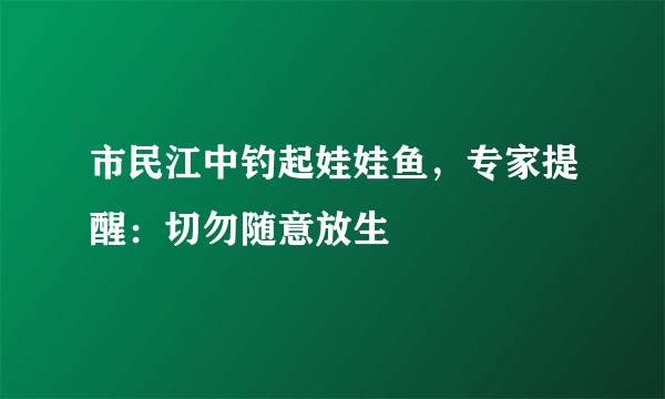 市民江中钓起娃娃鱼，专家提醒：切勿随意放生