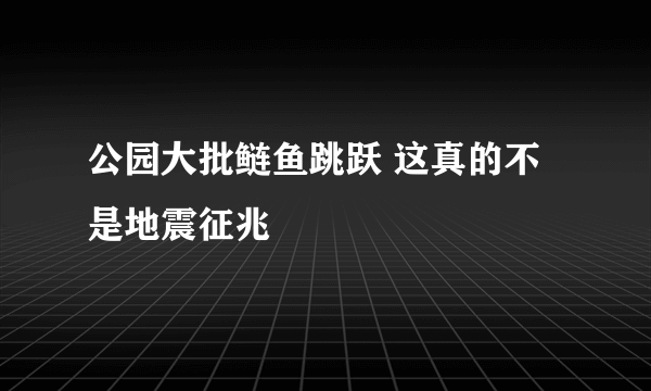 公园大批鲢鱼跳跃 这真的不是地震征兆