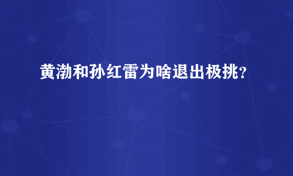 黄渤和孙红雷为啥退出极挑？