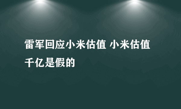 雷军回应小米估值 小米估值千亿是假的