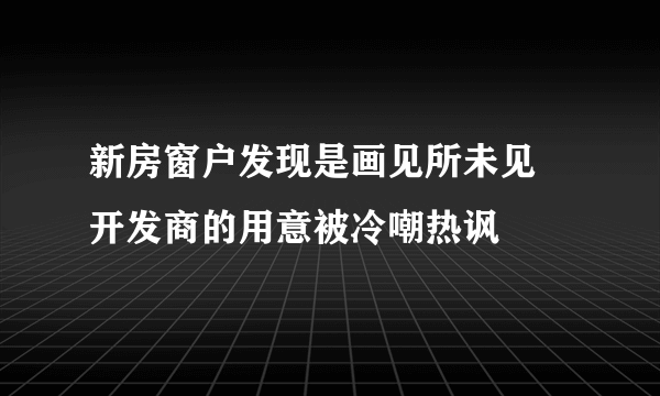 新房窗户发现是画见所未见  开发商的用意被冷嘲热讽