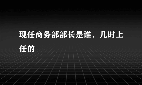 现任商务部部长是谁，几时上任的