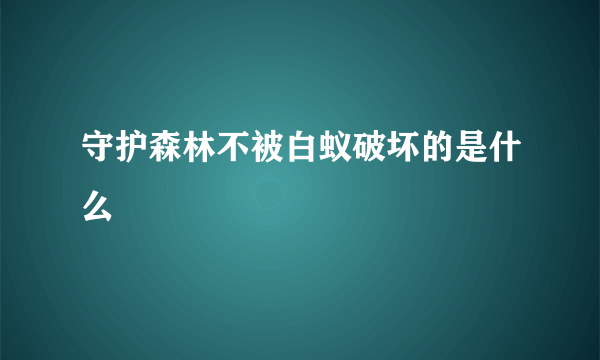 守护森林不被白蚁破坏的是什么