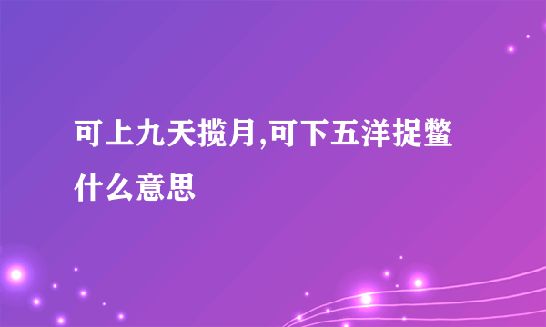 可上九天揽月,可下五洋捉鳖什么意思