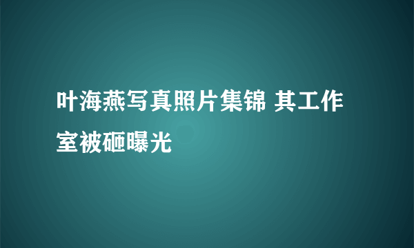 叶海燕写真照片集锦 其工作室被砸曝光