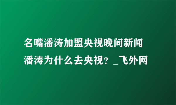 名嘴潘涛加盟央视晚间新闻 潘涛为什么去央视？_飞外网