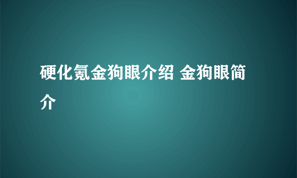 硬化氪金狗眼介绍 金狗眼简介