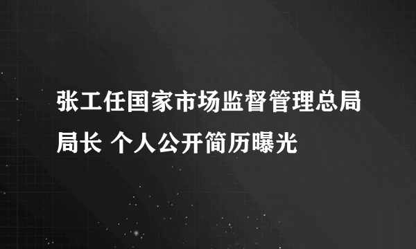 张工任国家市场监督管理总局局长 个人公开简历曝光