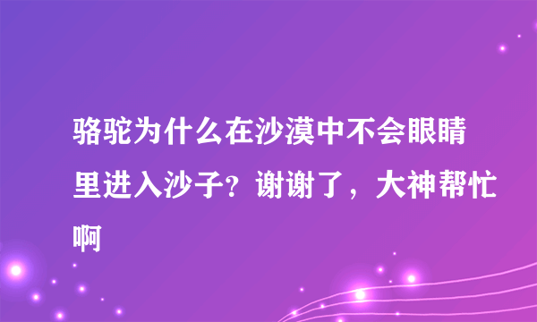 骆驼为什么在沙漠中不会眼睛里进入沙子？谢谢了，大神帮忙啊