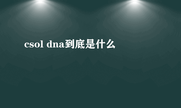 csol dna到底是什么