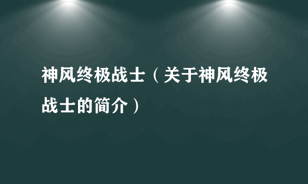 神风终极战士（关于神风终极战士的简介）