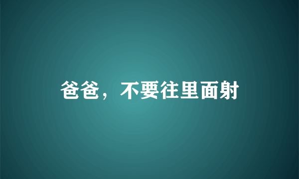 爸爸，不要往里面射