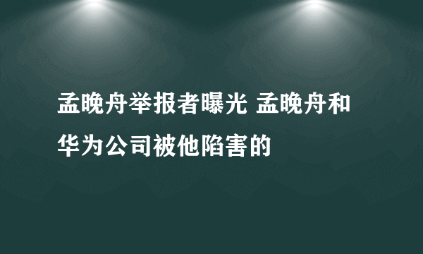 孟晚舟举报者曝光 孟晚舟和华为公司被他陷害的