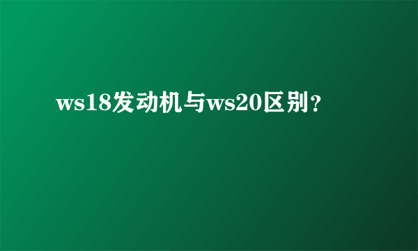 ws18发动机与ws20区别？