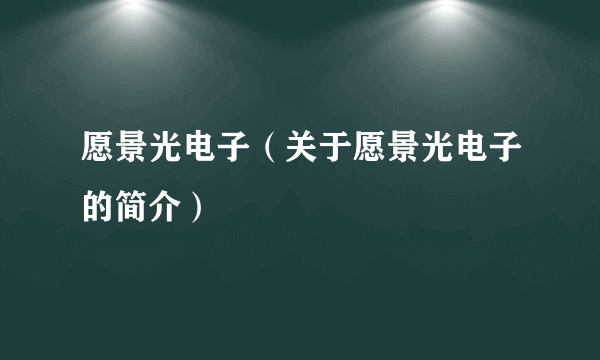 愿景光电子（关于愿景光电子的简介）