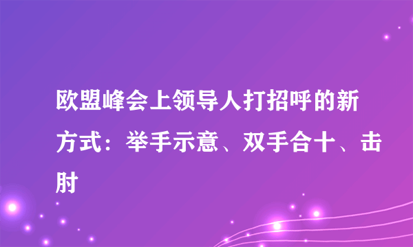 欧盟峰会上领导人打招呼的新方式：举手示意、双手合十、击肘