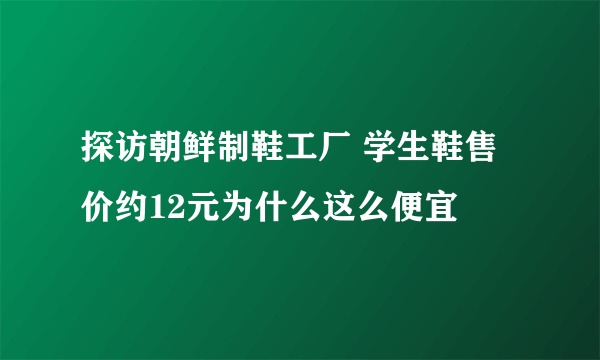 探访朝鲜制鞋工厂 学生鞋售价约12元为什么这么便宜