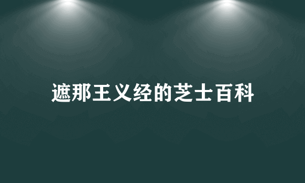 遮那王义经的芝士百科