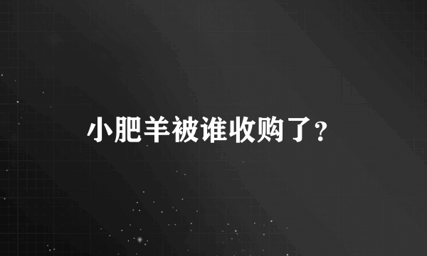 小肥羊被谁收购了？