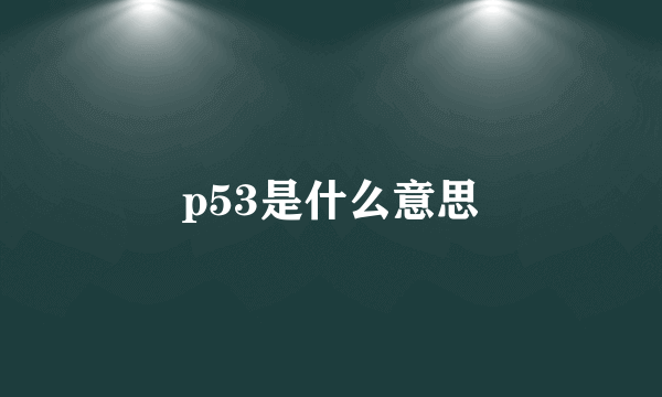 p53是什么意思