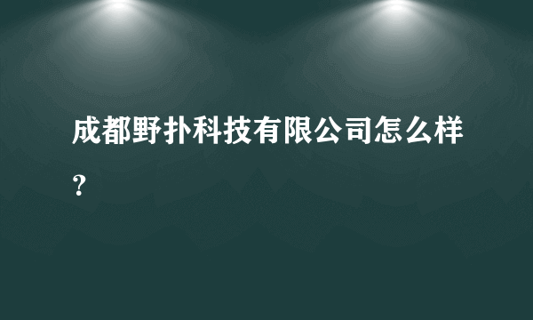 成都野扑科技有限公司怎么样？