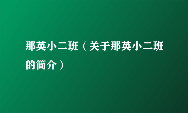 那英小二班（关于那英小二班的简介）